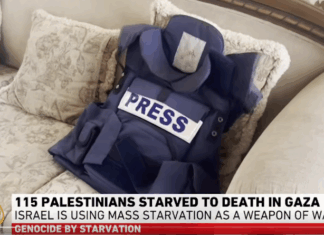 In the heart of besieged Gaza, local Al Jazeera journalist Hani Mahmoud shares his painful daily struggle