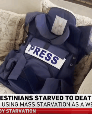 Gaza: Global community must act amid reports of starvation of journalists, says IPI In the heart of besieged Gaza, local Al Jazeera journalist Hani Mahmoud shares his painful daily struggle