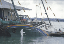 The bombed Rainbow Warrior next morning