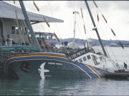 The bombed Rainbow Warrior next morning
