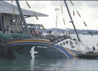 The bombed Rainbow Warrior next morning