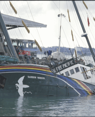 The bombed Rainbow Warrior next morning
