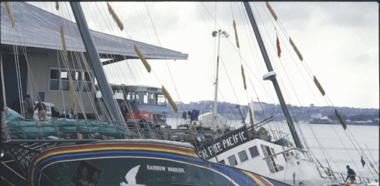 The bombed Rainbow Warrior next morning