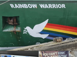 Journalist David Robie talking in a live cross to ABC News in Australia from the Rainbow Warrior dawn memorial service for Fernando Pereira on the 40th anniversary of the bombing of the Rainbow Warrior in Auckland
