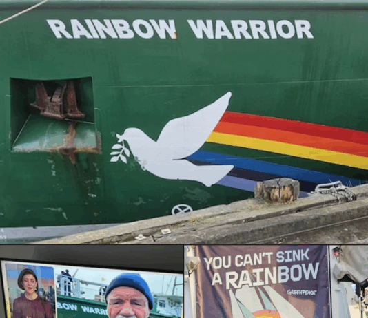 Journalist David Robie talking in a live cross to ABC News in Australia from the Rainbow Warrior dawn memorial service for Fernando Pereira on the 40th anniversary of the bombing of the Rainbow Warrior in Auckland