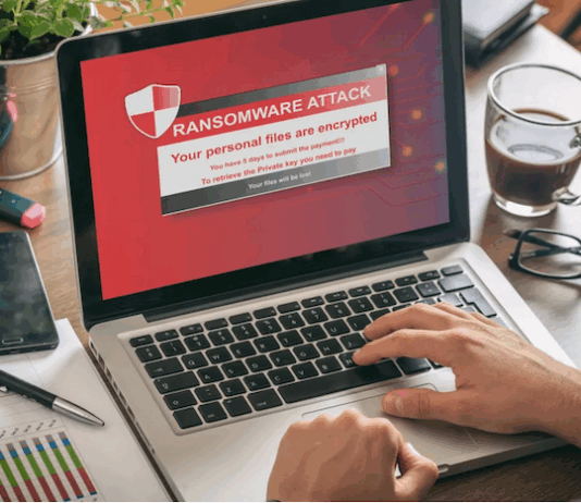 Since the data breach, the Tongan government has said "a small amount" of information from the attack was published online. This included confidential information,