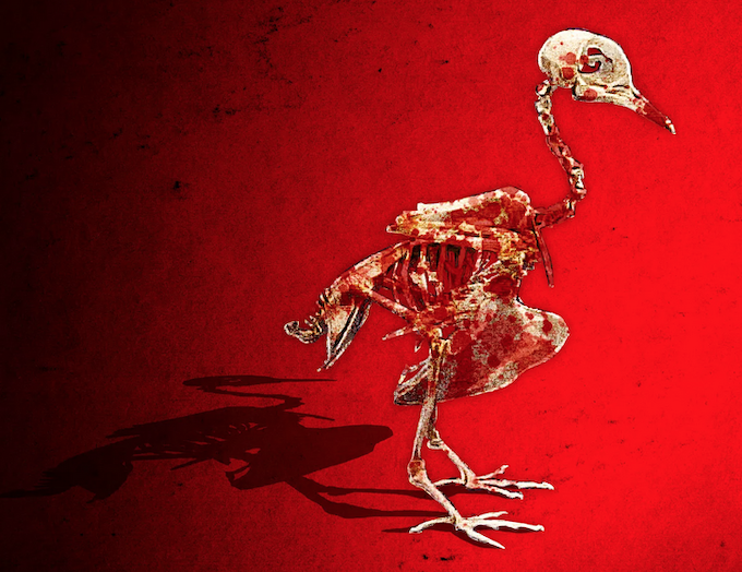 Chris Hedges: Gaza’s Hunger Games – how Israel is weaponising starvation