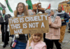 "This is cruelty - this is not a war," says this young girl's placard quoting the Pope