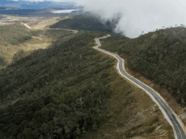 The 4330 km Trans-Papua Highway