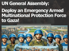 UN peacekeepers advocated by DAWN for Gaza