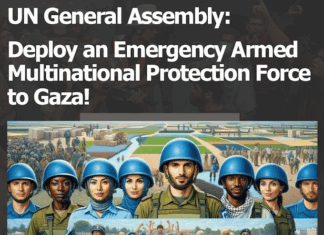 UN peacekeepers advocated by DAWN for Gaza