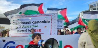 New Zealand pro-Palestinian protesters march against genocide