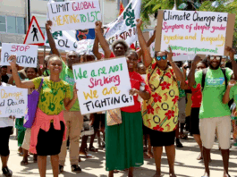 It was 2019 when a group of law students at the University of the South Pacific’s campus in Port Vila, the harbourside capital of Vanuatu, were set a challenge