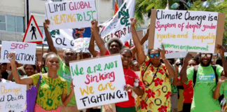 It was 2019 when a group of law students at the University of the South Pacific’s campus in Port Vila, the harbourside capital of Vanuatu, were set a challenge