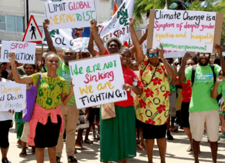 It was 2019 when a group of law students at the University of the South Pacific’s campus in Port Vila, the harbourside capital of Vanuatu, were set a challenge