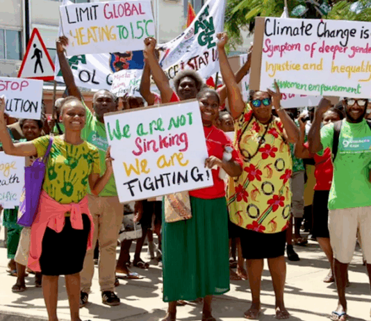 It was 2019 when a group of law students at the University of the South Pacific’s campus in Port Vila, the harbourside capital of Vanuatu, were set a challenge