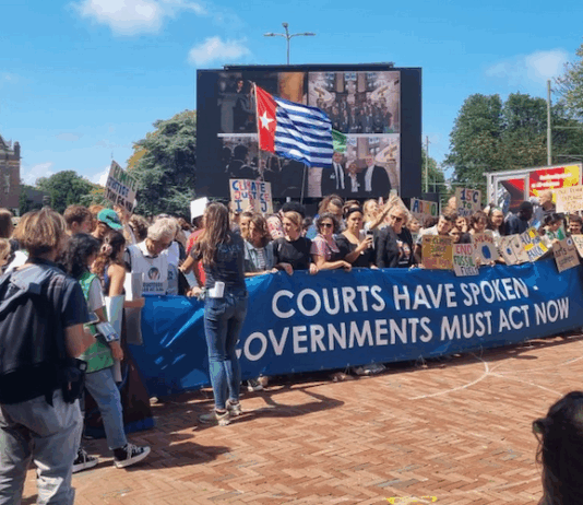 A West Papuan Morning Star flag of independence flies higm among dozens of climate activists - from both the Netherlands and abroad - gathered on a square outside the court