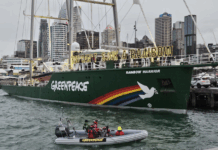 The Rainbow Warrior III on the eve of the memorial service for Greenpeace photographer Fernando Pereira