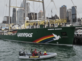 The Rainbow Warrior III on the eve of the memorial service for Greenpeace photographer Fernando Pereira