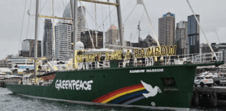 The Rainbow Warrior III on the eve of the memorial service for Greenpeace photographer Fernando Pereira