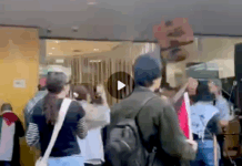 The alleged assault on an elderly protester at the Otāutahi Palestine solidarity rally