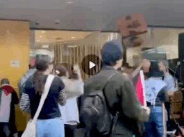 The alleged assault on an elderly protester at the Otāutahi Palestine solidarity rally