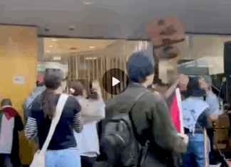 The alleged assault on an elderly protester at the Otāutahi Palestine solidarity rally