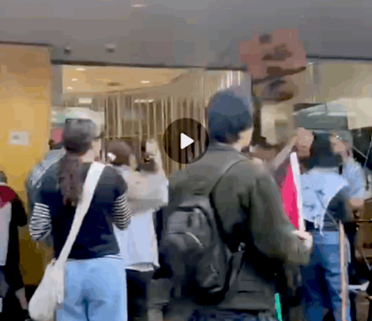 The alleged assault on an elderly protester at the Otāutahi Palestine solidarity rally