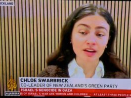 NZ's Green Party co-leader Chlöe Swarbrick