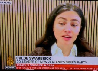 NZ's Green Party co-leader Chlöe Swarbrick
