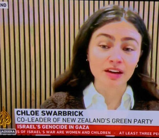 NZ's Green Party co-leader Chlöe Swarbrick