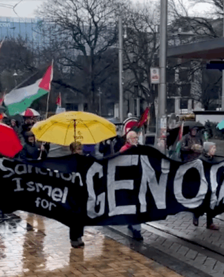 A protest calls for sanctions against Israel