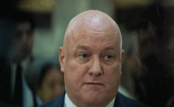 Prime Minister Christopher Luxon