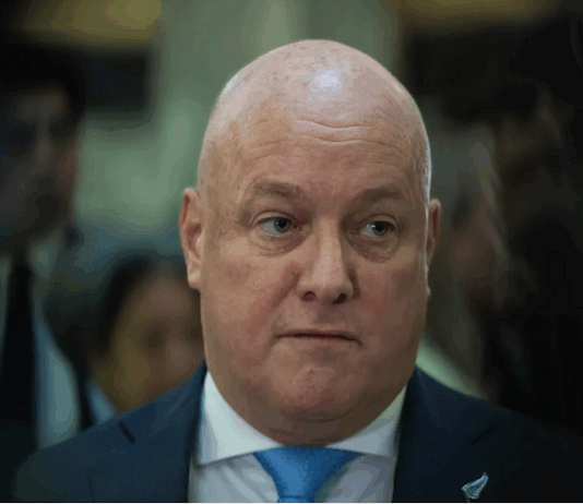 Prime Minister Christopher Luxon