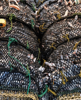 Greenpeace condemns NZ’s ‘dodgy reforms’ plan weakening ocean protection New Zealand's planned fisheries laws changes "spell disaster for the already struggling ocean around us"