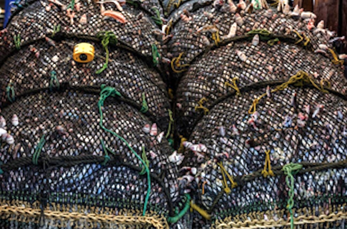 Fisheries nets GP 680wide New Zealand's planned fisheries laws changes
