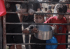 Dramatic increases in food prices always mean there is a famine, even though not every famine is accompanied by rising food costs