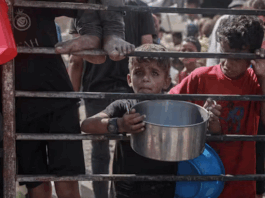 Dramatic increases in food prices always mean there is a famine, even though not every famine is accompanied by rising food costs