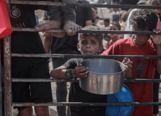 Dramatic increases in food prices always mean there is a famine, even though not every famine is accompanied by rising food costs