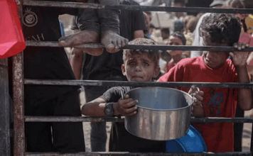 Dramatic increases in food prices always mean there is a famine, even though not every famine is accompanied by rising food costs