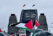 Part of the pro-Palestinian protest march on Sydney Harbour Bridge today, calling for an end to the genocide and starvation by Israel