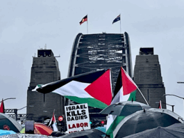 Part of the pro-Palestinian protest march on Sydney Harbour Bridge today, calling for an end to the genocide and starvation by Israel