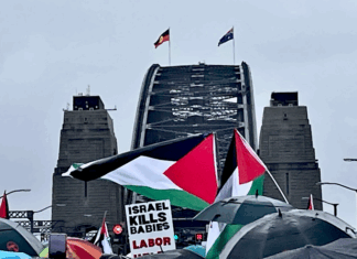 Part of the pro-Palestinian protest march on Sydney Harbour Bridge today, calling for an end to the genocide and starvation by Israel