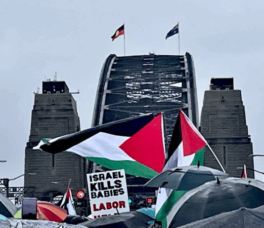 Part of the pro-Palestinian protest march on Sydney Harbour Bridge today, calling for an end to the genocide and starvation by Israel
