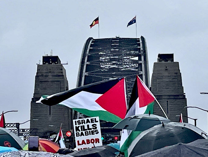 Israel kills babies PC 680wide Part of the pro-Palestinian protest march on Sydney Harbour Bridge today, calling for an end to the genocide and starvation by Israel