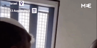 A video clip posted by the Israeli "Security" Minister Itamar Ben Gvir on August 15 showed the bully taunting and intimidating a frail Marwan Barghouti