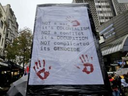 "Not a war - it's colonialism" declares a placard at the Auckland pro-Palestine rally and march on 16 August 2025