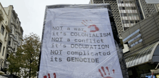 "Not a war - it's colonialism" declares a placard at the Auckland pro-Palestine rally and march on 16 August 2025