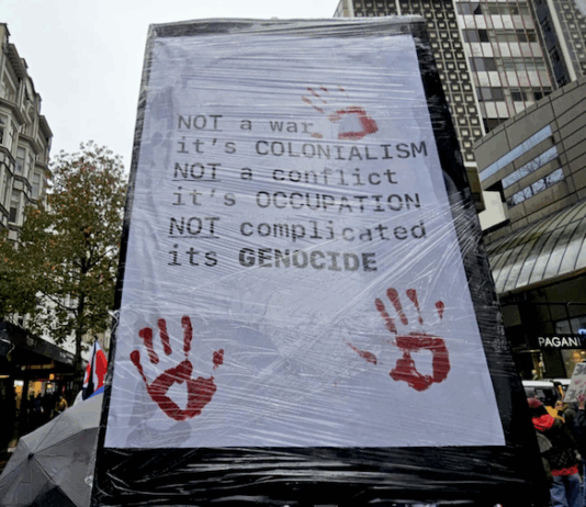 "Not a war - it's colonialism" declares a placard at the Auckland pro-Palestine rally and march on 16 August 2025