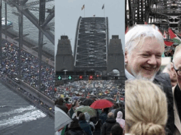 Some of the estimated 100,000 to 300,000 people - depending on whose estimate - who protested yesterday on the Sydney Harbour Bridge over Israel's genocidal war on Gaza